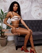 Анкета проститутки Алиса - метро Басманный, возраст - 21